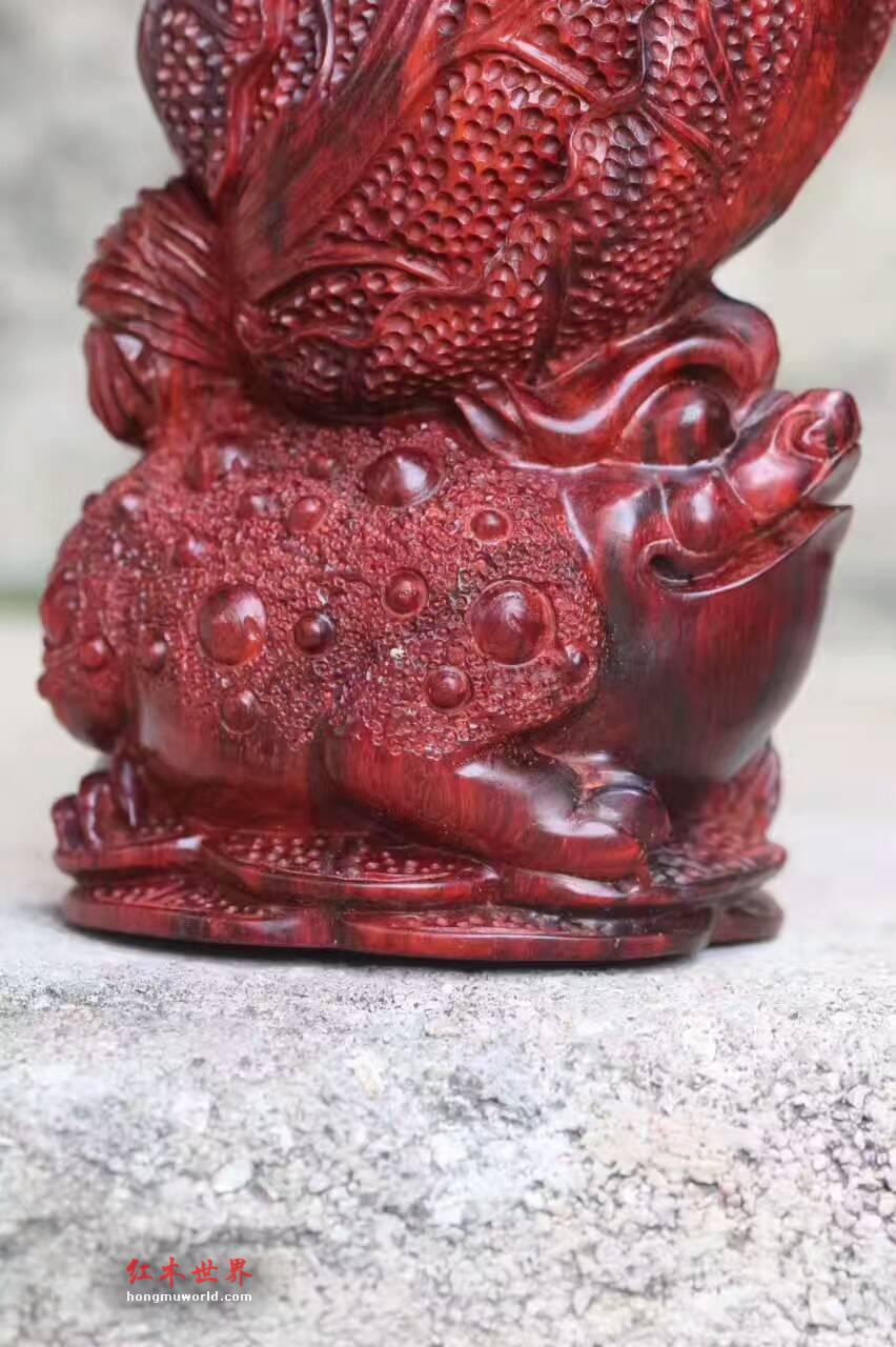 小叶紫檀招财摆件《金蟾白菜》精美雕工栩栩如生-9