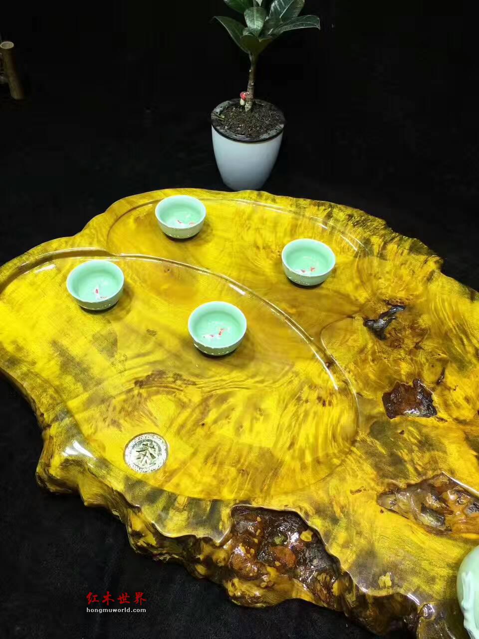 黄金樟茶盘自然随形 板面干净大小适中-1