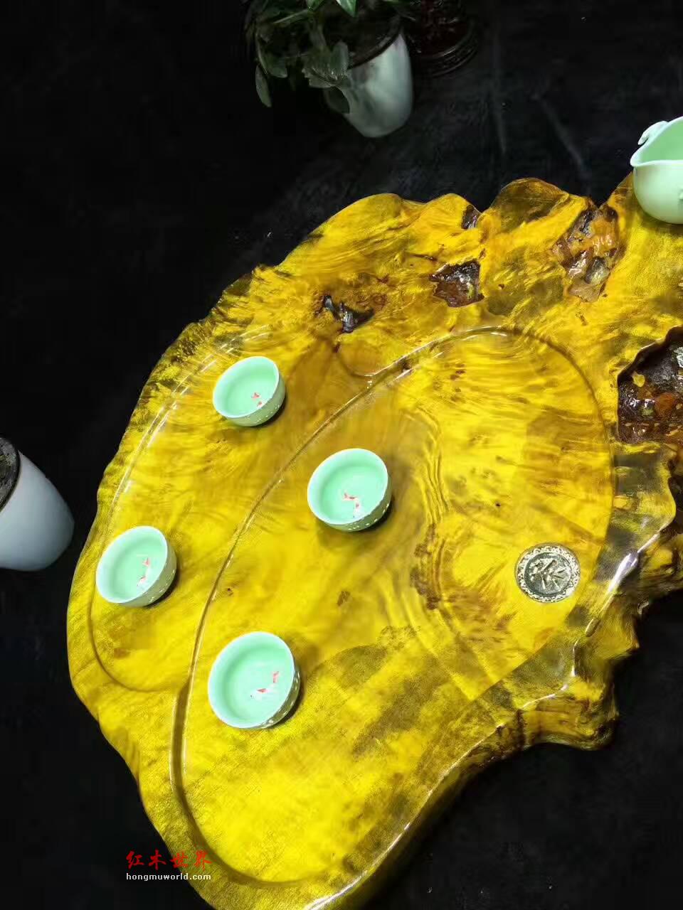黄金樟茶盘自然随形 板面干净大小适中-2