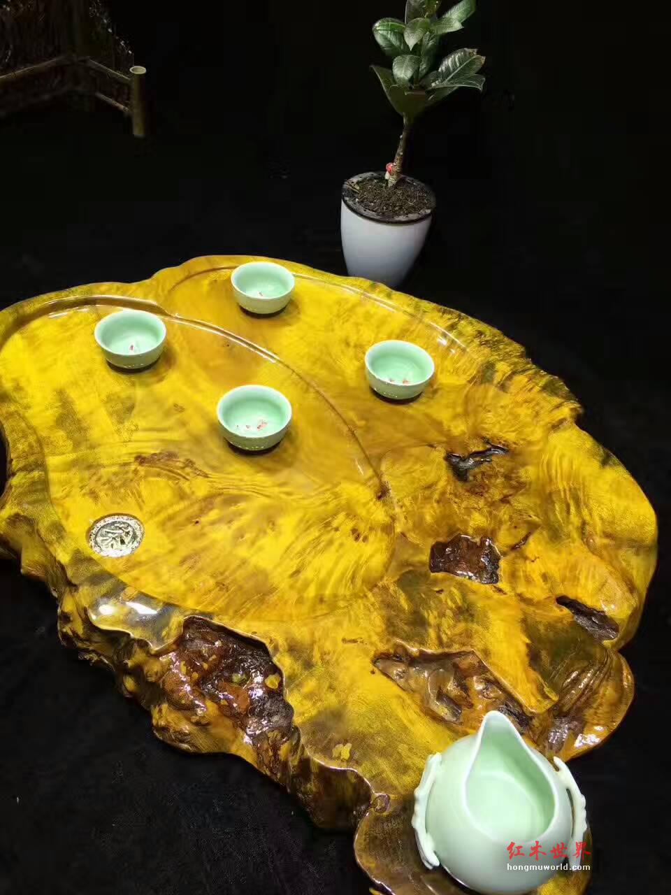 黄金樟茶盘自然随形 板面干净大小适中-5