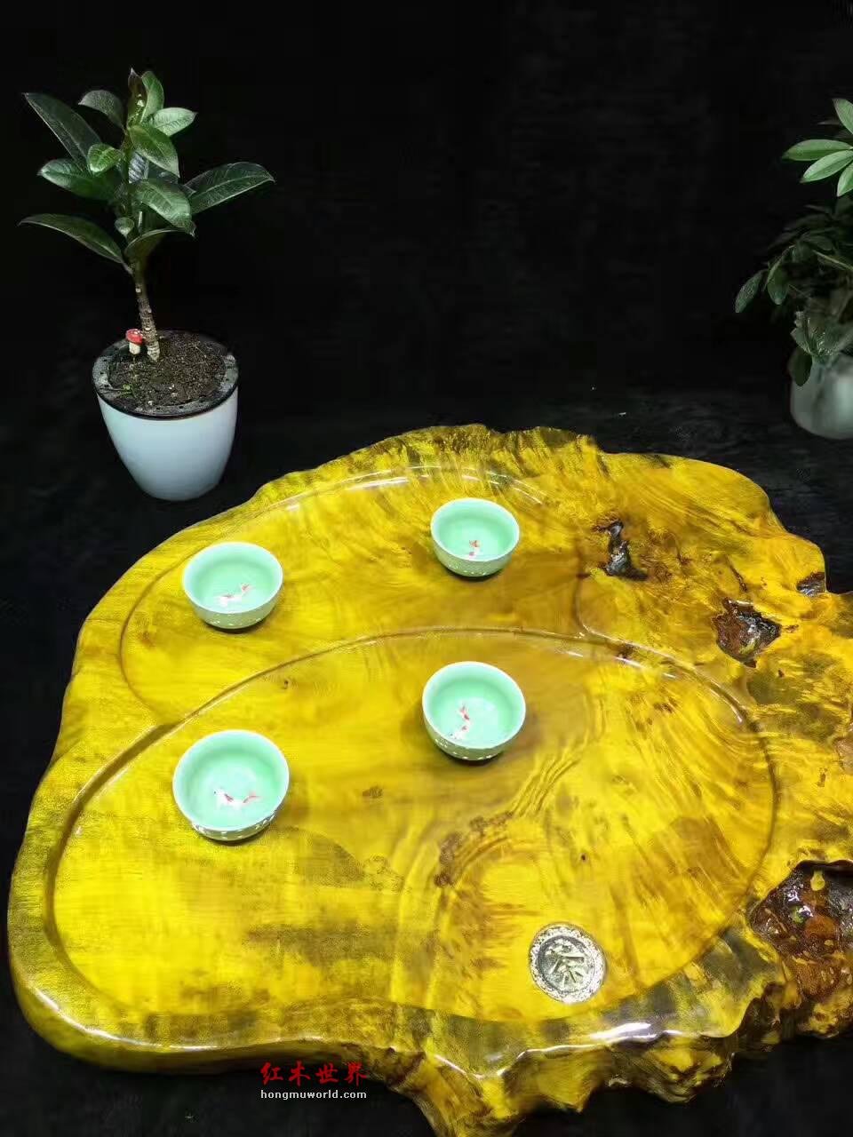 黄金樟茶盘自然随形 板面干净大小适中-6