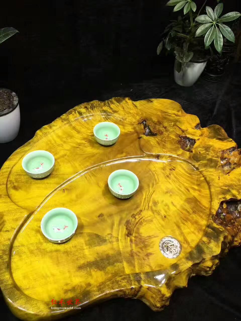 黄金樟茶盘自然随形 板面干净大小适中-7