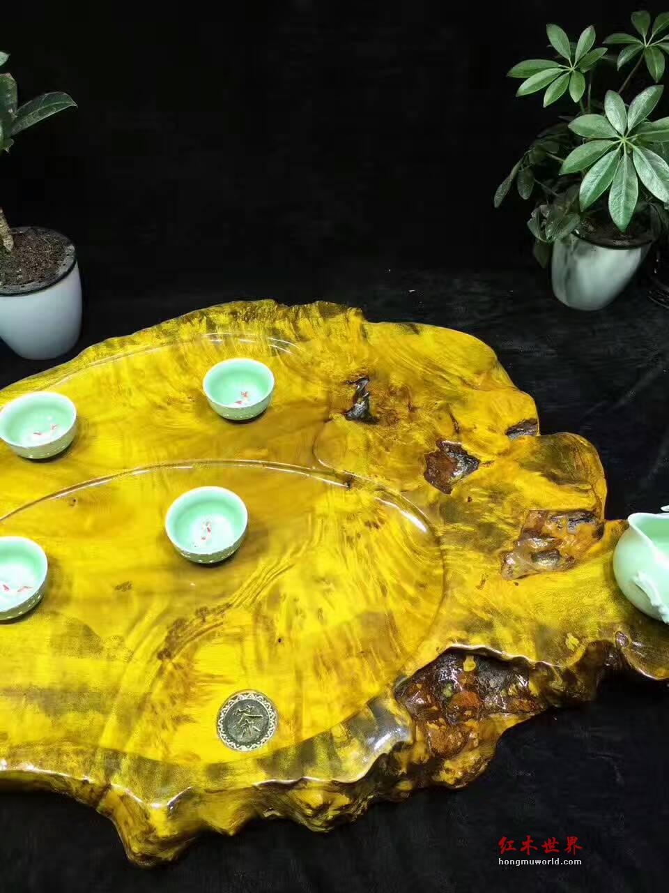 黄金樟茶盘自然随形 板面干净大小适中-8