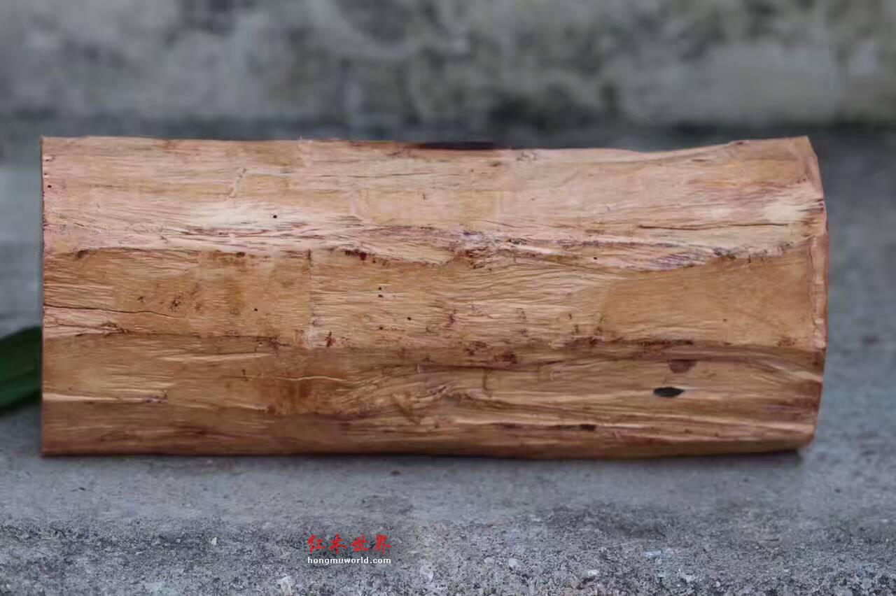 小叶紫檀《卧佛》 全实心老料保留天然白皮独具特色-8