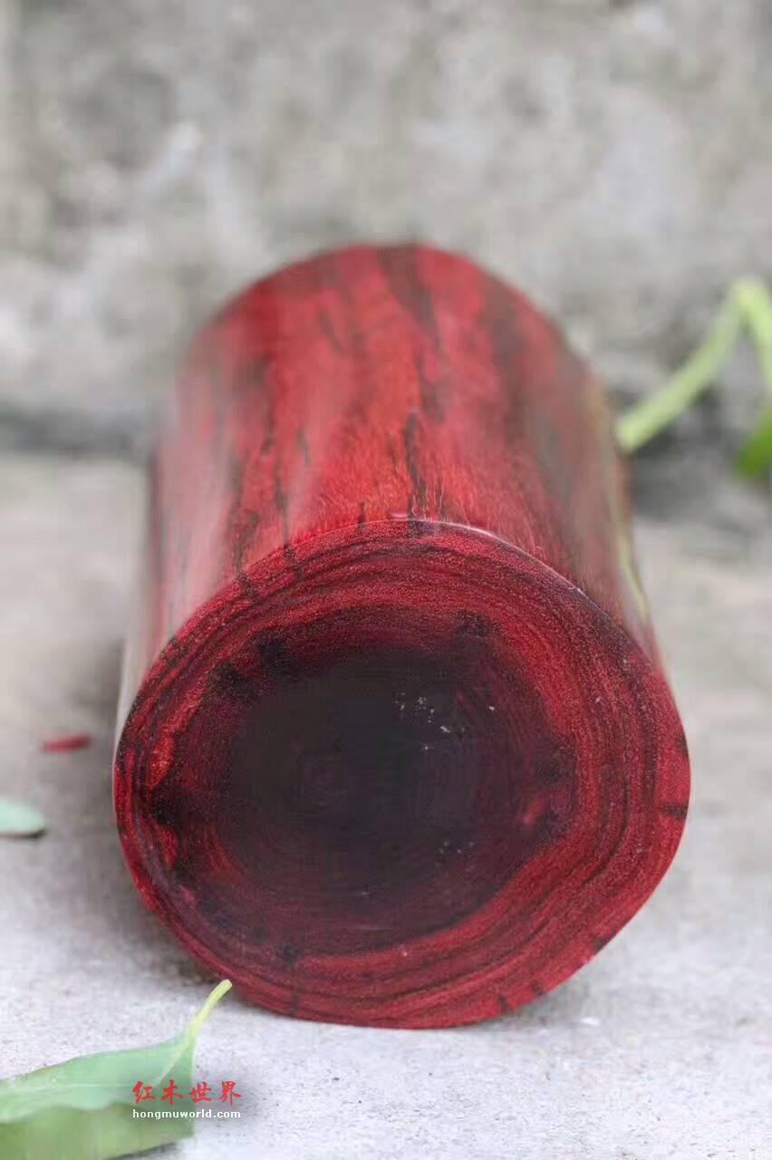 印度小叶紫檀--双喜临门 笔筒 局部精雕寓意美好-7