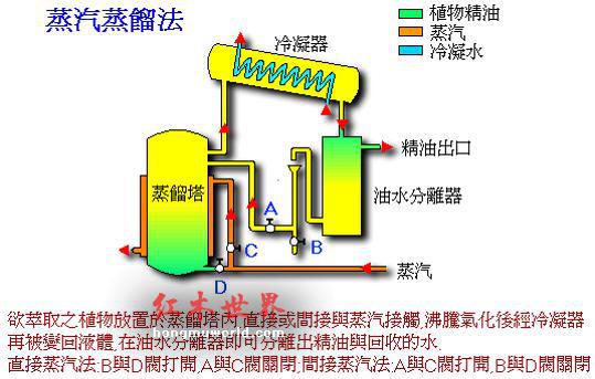 沉香精油的提取方法及其组成成分-2