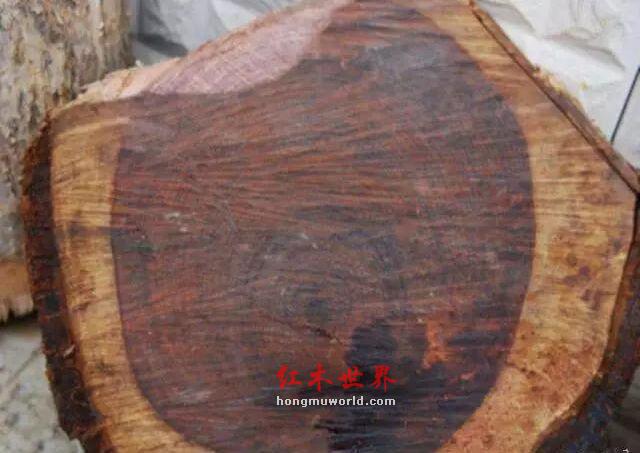 红酸枝、大红酸枝、老挝红酸枝傻傻分不清-1