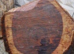 红酸枝、大红酸枝、老挝红酸枝傻傻分不清