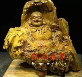 看这里，金丝楠最全介绍！（值得收藏）-2