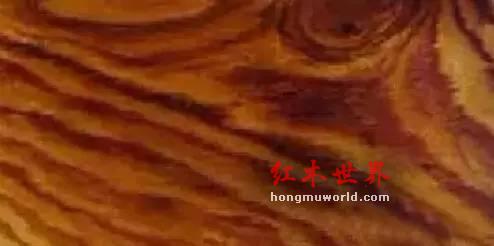 纯干货！33种红木图文详解（上篇）-4