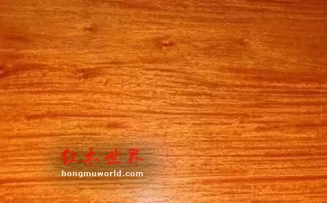 纯干货！33种红木图文详解（上篇）-7