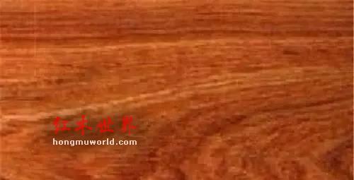 纯干货！33种红木图文详解（上篇）-9