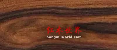 纯干货！33种红木图文详解（上篇）-12