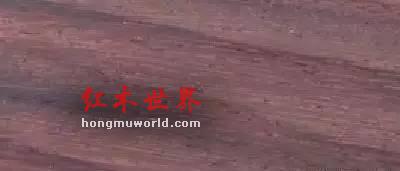 纯干货！33种红木图文详解（上篇）-13
