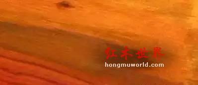 纯干货！33种红木图文详解（下篇）-3