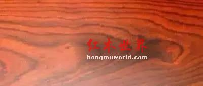 纯干货！33种红木图文详解（下篇）-5