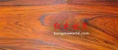 纯干货！33种红木图文详解（下篇）-9