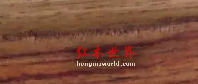 纯干货！33种红木图文详解（下篇）-6
