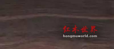 纯干货！33种红木图文详解（下篇）-15