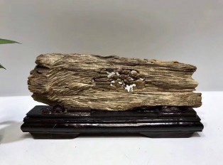 印尼马尼捞沉香手工艺品《听松》材质名贵设计精巧意境悠远