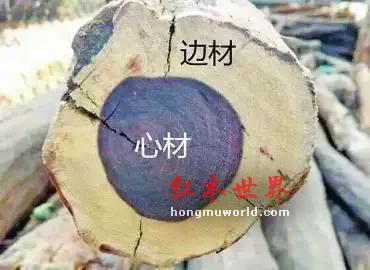 红木家具选购基础知识大全-9