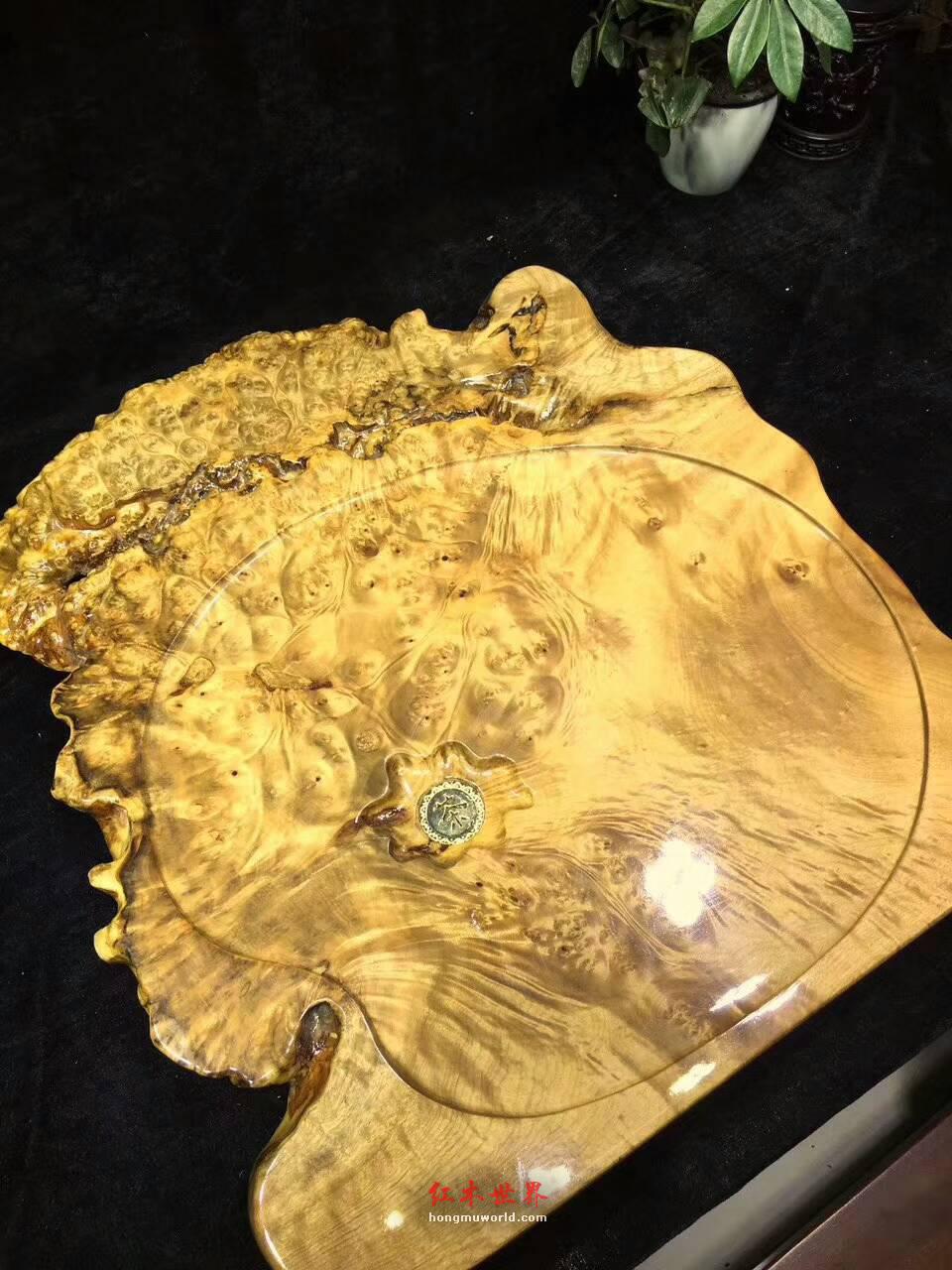 黄金樟茶盘用瘤疤包边自然随形 提升格调上档次-1