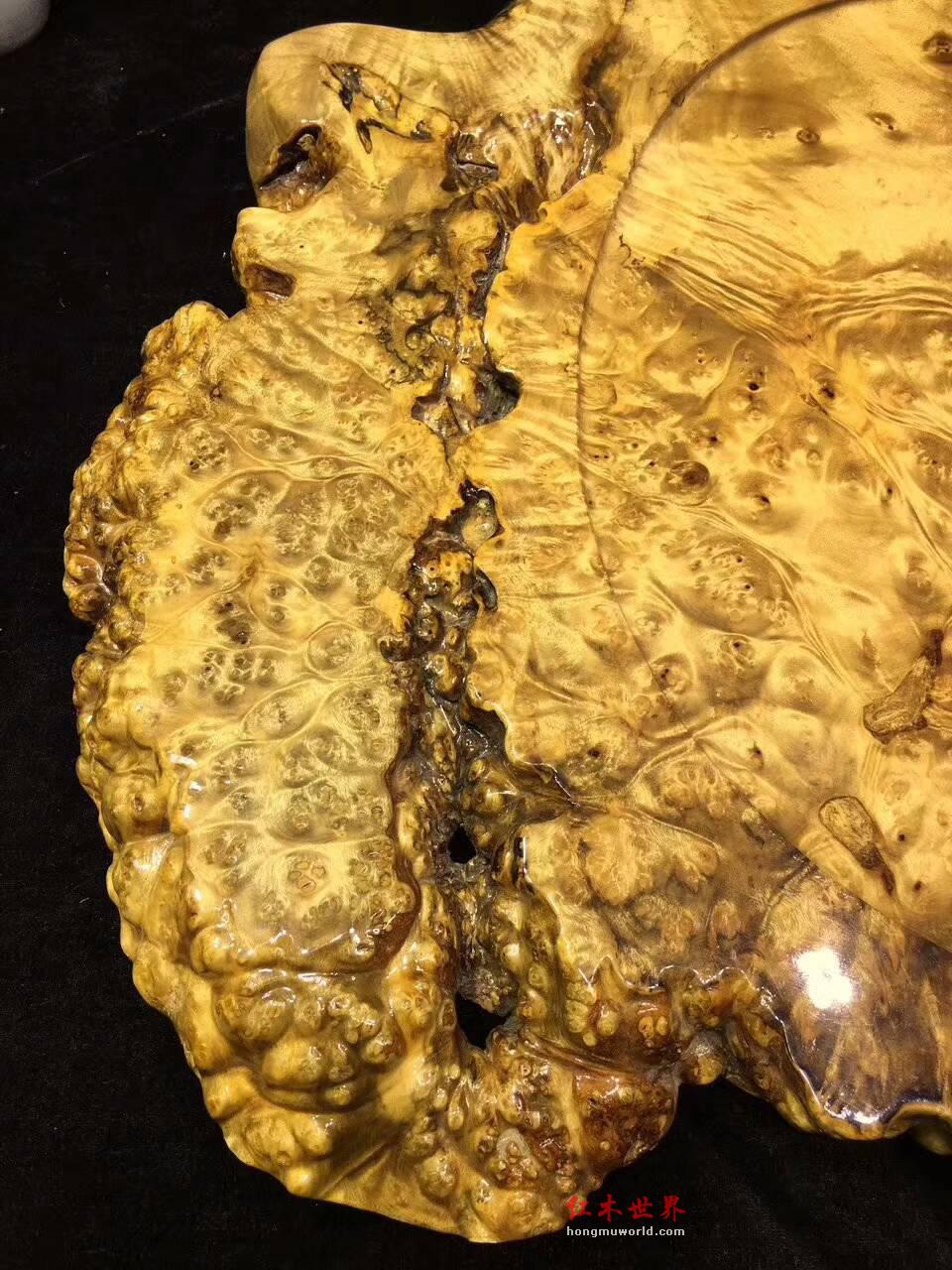 黄金樟茶盘用瘤疤包边自然随形 提升格调上档次-2
