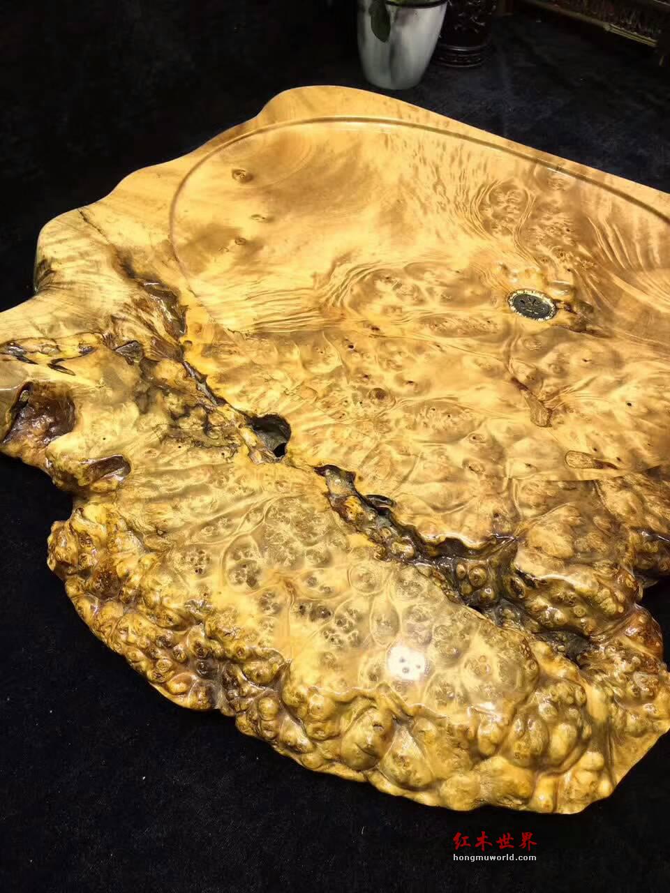 黄金樟茶盘用瘤疤包边自然随形 提升格调上档次-6
