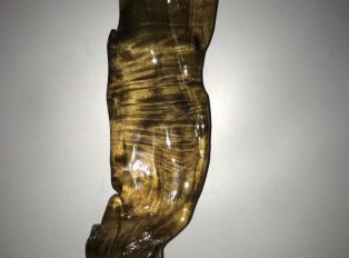 正宗小叶金丝楠阴沉木随形摆件 完美大西瓜水波无死角