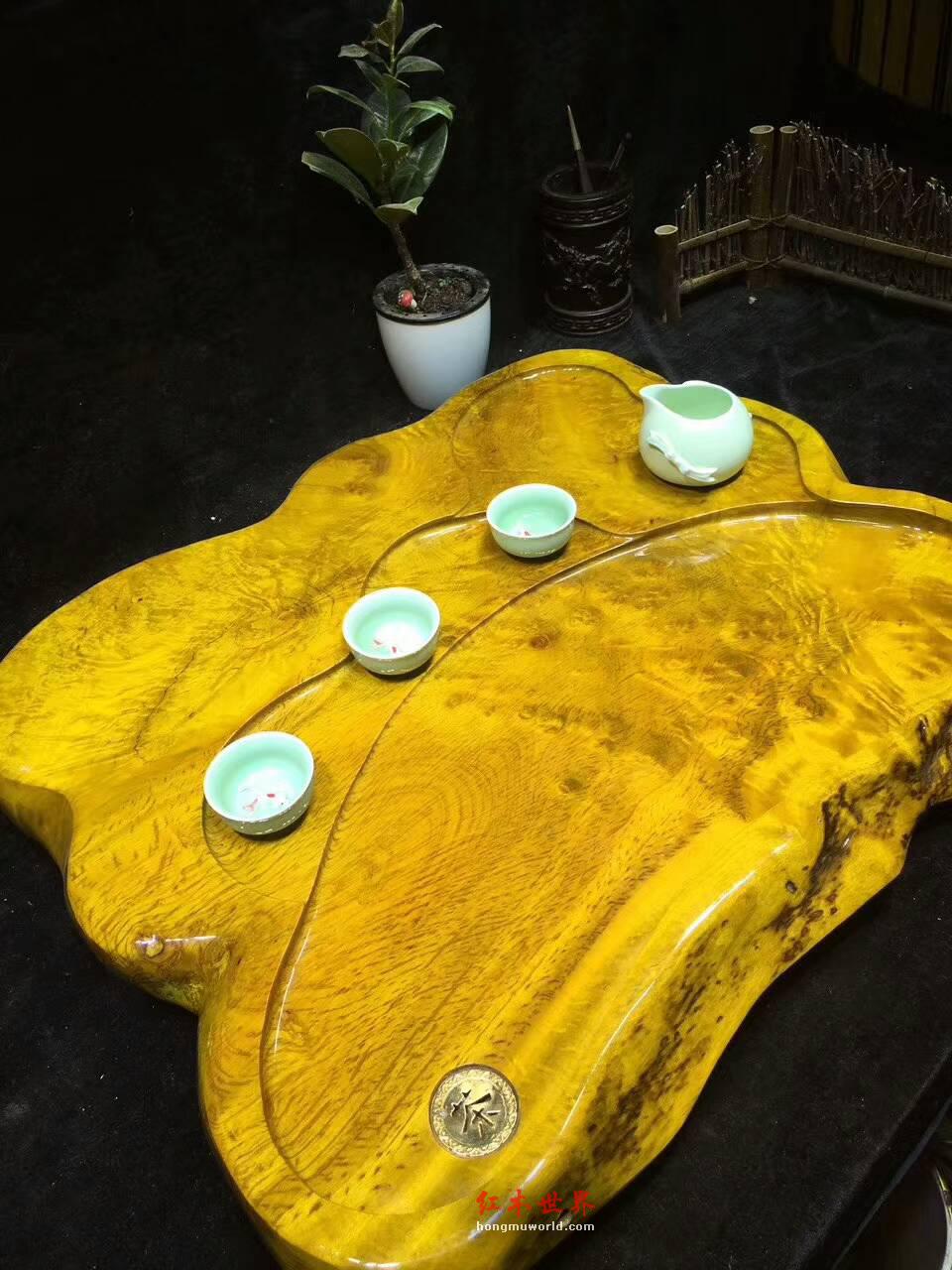 黄金樟茶盘金黄底色大气高贵 朋友聚会提升格调-1