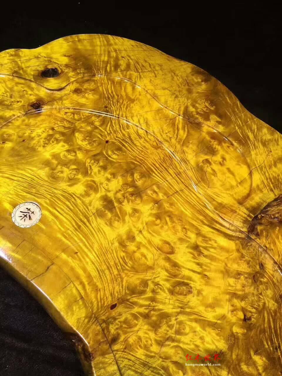 黄金樟茶盘 瘤疤花纹融为一体独特有创意-5