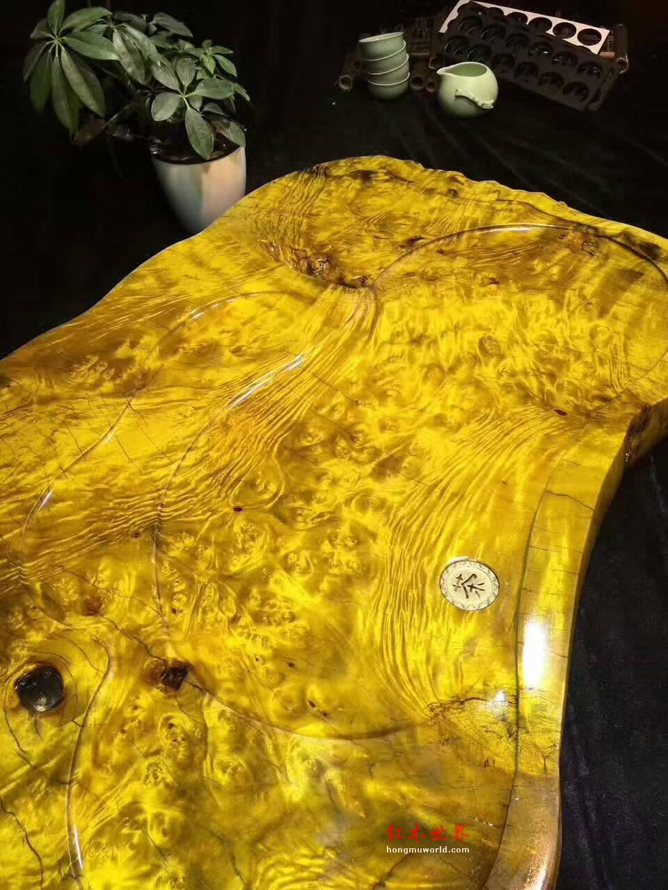 黄金樟茶盘 瘤疤花纹融为一体独特有创意-7