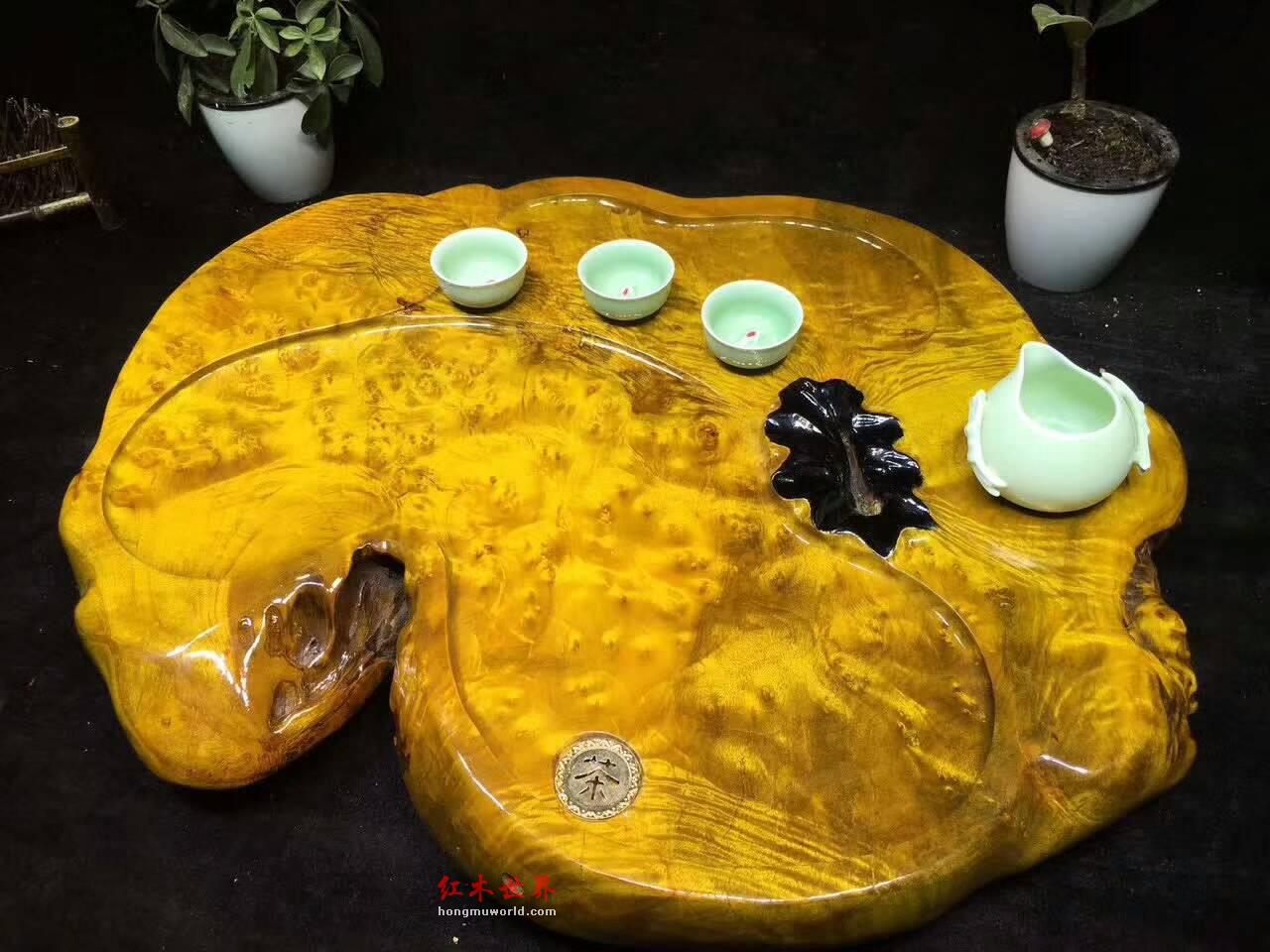 黄金樟茶桌带瘤疤 板面干净颜色金黄纹理清晰提升格调-2