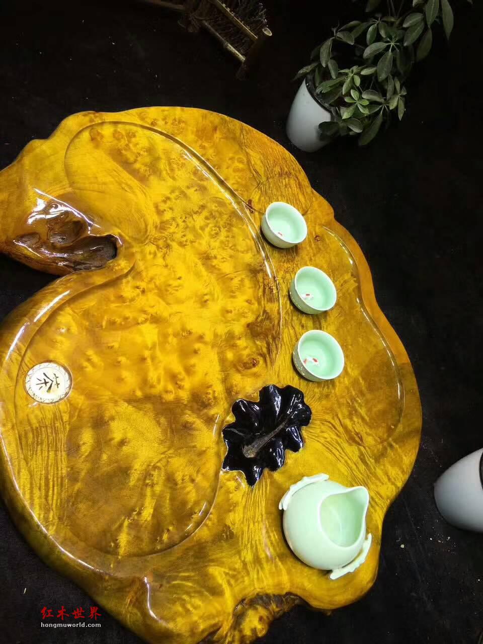 黄金樟茶桌带瘤疤 板面干净颜色金黄纹理清晰提升格调-8