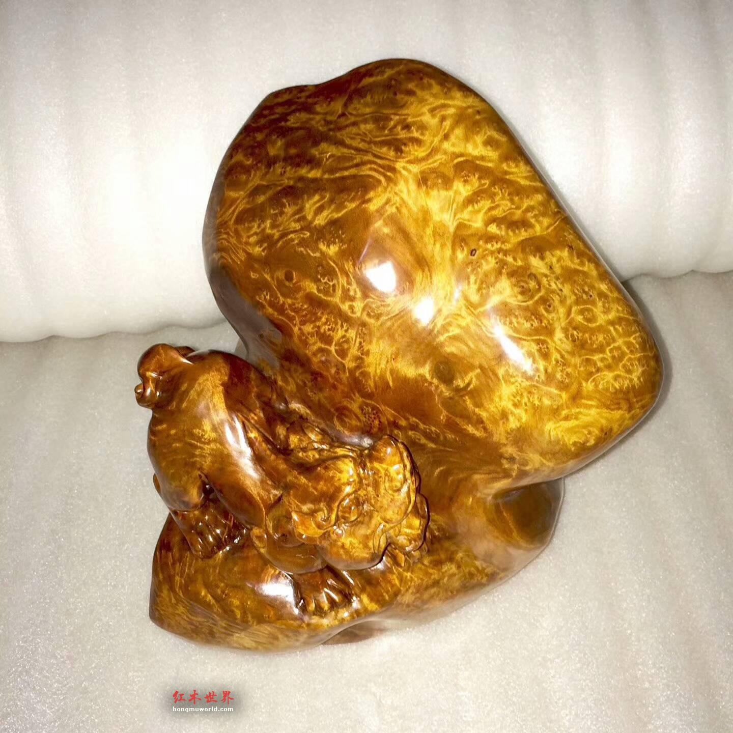 金丝楠枯木料根雕《貔貅》瘤疤明显黄金底色招财致富-1