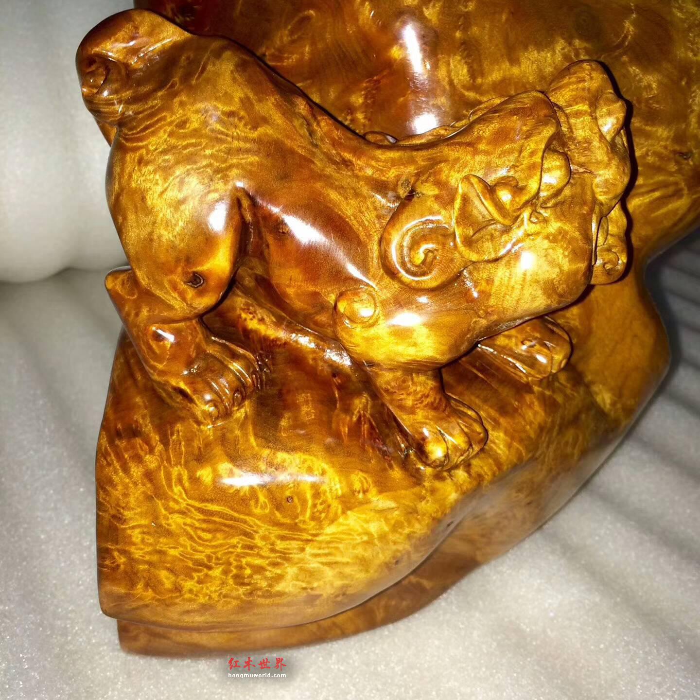 金丝楠枯木料根雕《貔貅》瘤疤明显黄金底色招财致富-3