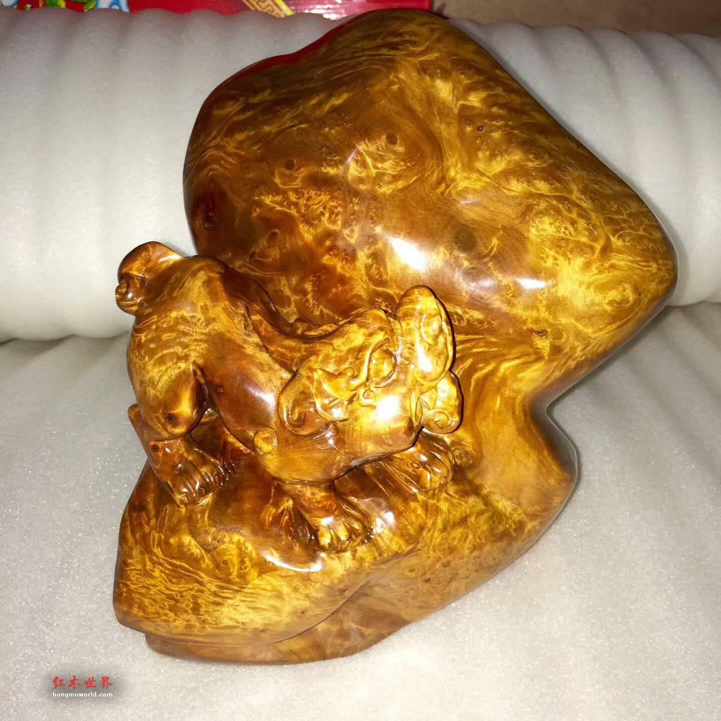 金丝楠枯木料根雕《貔貅》瘤疤明显黄金底色招财致富-7