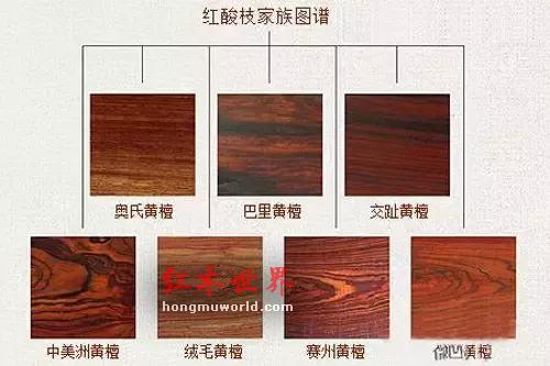 被低估的优质红木:白酸枝-3