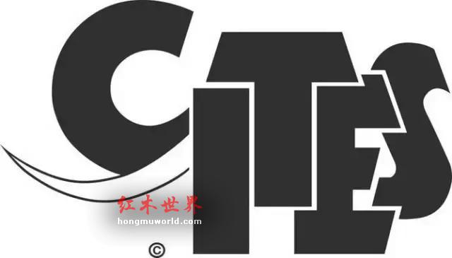 被低估的优质红木:白酸枝-11