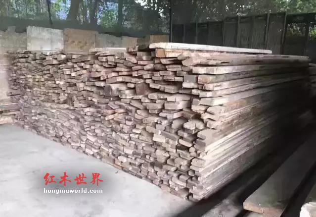 金丝楠的“三类三别”-3