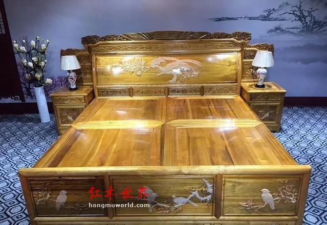 100倍显微镜下的金丝楠木，你见过吗？-7