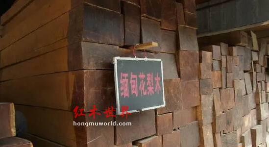 揭秘红木家具市场的主流木材及其优缺点-1