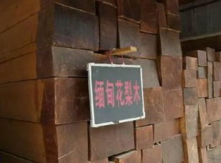 揭秘红木家具市场的主流木材及其优缺点