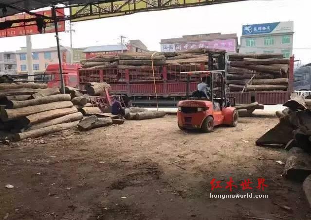 揭秘红木家具市场的主流木材及其优缺点-4