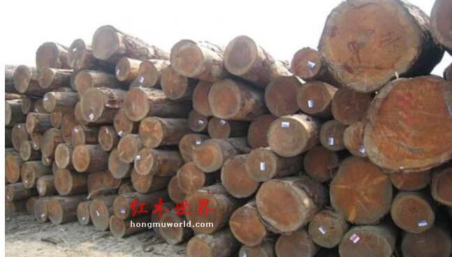 揭秘红木家具市场的主流木材及其优缺点-5