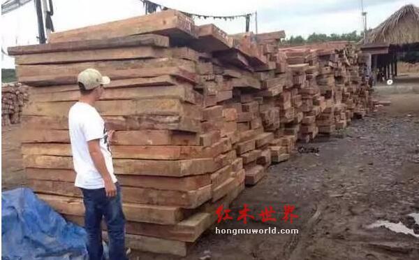 揭秘红木家具市场的主流木材及其优缺点-6