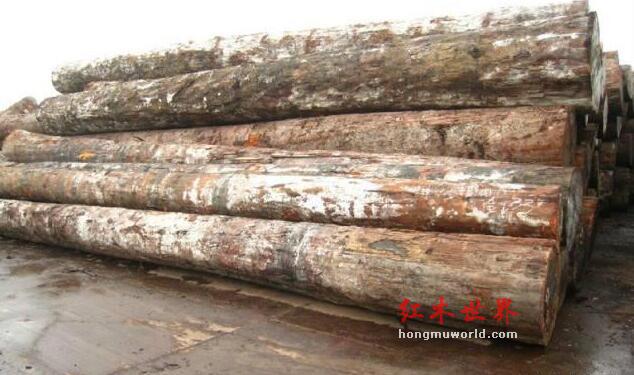 揭秘红木家具市场的主流木材及其优缺点-7