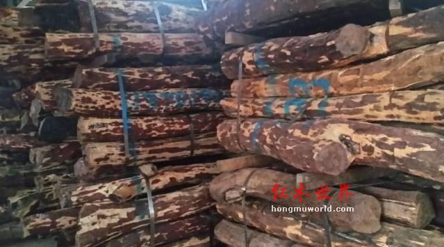 揭秘红木家具市场的主流木材及其优缺点-8