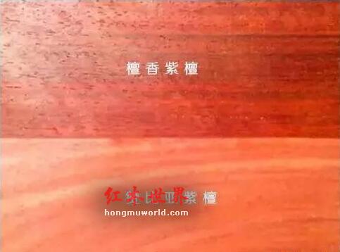 揭秘红木家具市场的主流木材及其优缺点-9