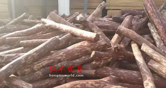 揭秘红木家具市场的主流木材及其优缺点-10